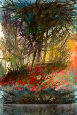 Chansonne pour Nerea