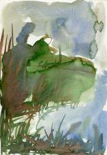 Cronache dallo stagno