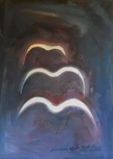 Volo bianco (studio)